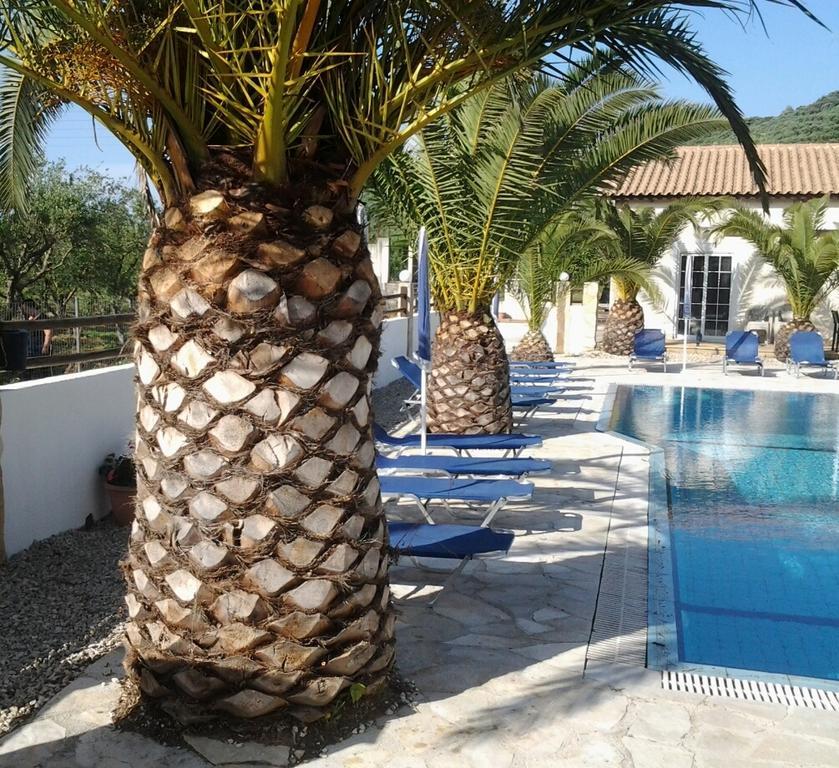 اليكاناس Zantegarden Apartments الغرفة الصورة